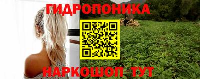 герыч Владивосток