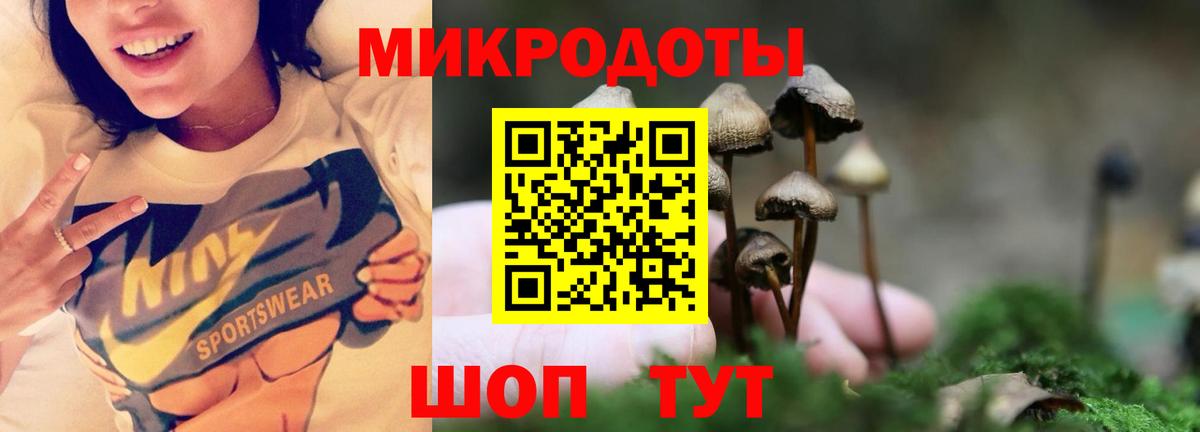 Галлюциногенные грибы мицелий Осинники
